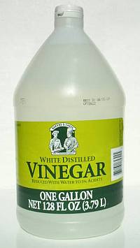 vinegar the weed killer