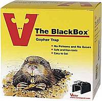 how to trap a gopher