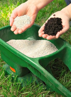 organic vs non-organic fertilizer